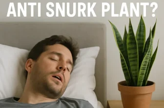 Hoe_werkt_een_anti_snurk_plant