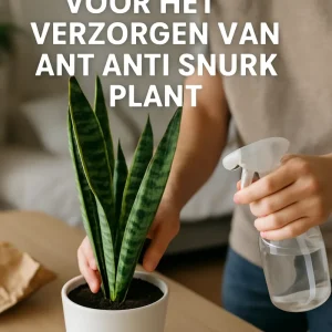 Praktische_tips_voor_het_verzorgen_van_een_anti_snurk_plant